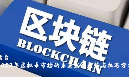 擂台
2023年虚拟币市场的未来发展趋势与机遇分析