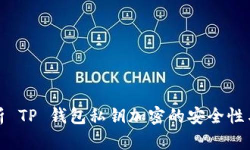 全面解析 TP 钱包私钥加密的安全性与实用性