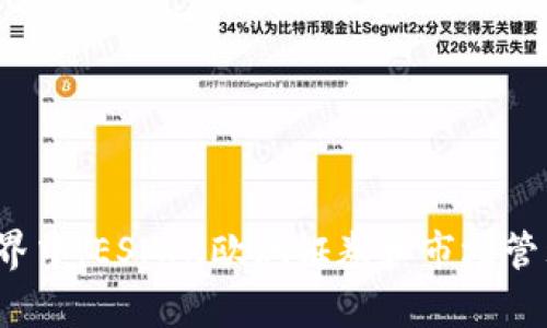 在当今瞬息万变的金融市场中，虚拟货币以其独特的魅力吸引了越来越多的投资者和普通用户。而在虚拟货币的世界中，ESMA（欧洲证券和市场管理局）近年来也逐渐成为一个关注的焦点。我们将深入探索ESMA与虚拟货币的关系，并讨论它所带来的影响与前景。

