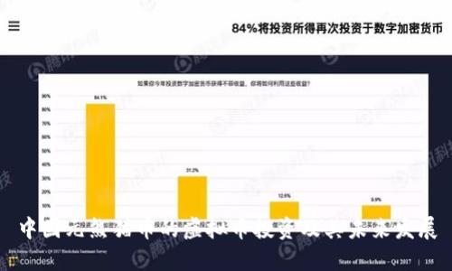 中国元熊猫币的虚拟币投资及其未来发展