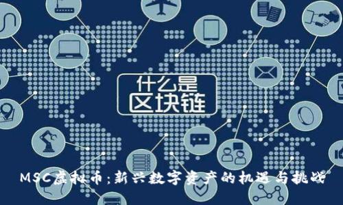 MSC虚拟币：新兴数字资产的机遇与挑战