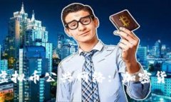 :  深入探索虚拟币公共网