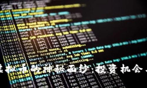 揭开DMD虚拟币的神秘面纱：投资机会与前景分析