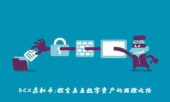 BCX虚拟币：探索未来数字
