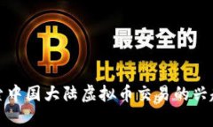 深入探索中国大陆虚拟币