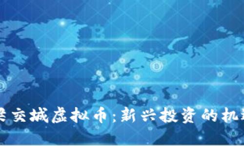 了解吕梁交城虚拟币：新兴投资的机遇与风险