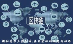   揭秘爱尔兰虚拟币：未来