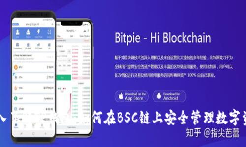 深入了解TP钱包:如何在BSC链上安全管理数字资产