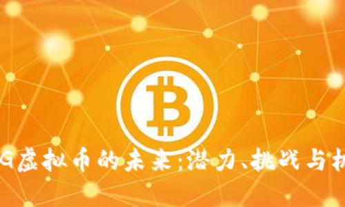 OMG虚拟币的未来：潜力、挑战与机遇