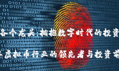 虚拟币各个龙头:拥抱数字时代的投资机遇
2023年虚拟币行业的领先者与投资前景分析