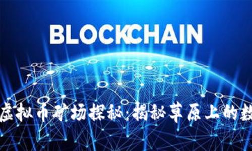 独特的内蒙虚拟币矿场探秘:揭秘草原上的数字财富之旅