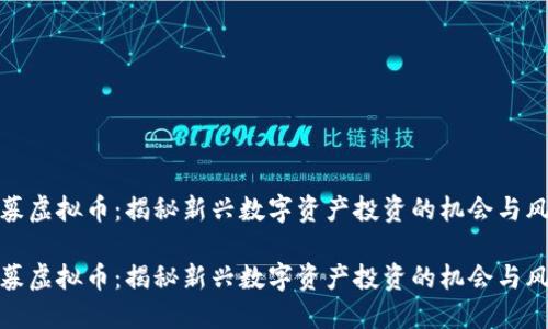 私募虚拟币：揭秘新兴数字资产投资的机会与风险

私募虚拟币：揭秘新兴数字资产投资的机会与风险