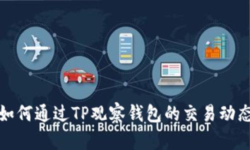 如何通过TP观察钱包的交易动态