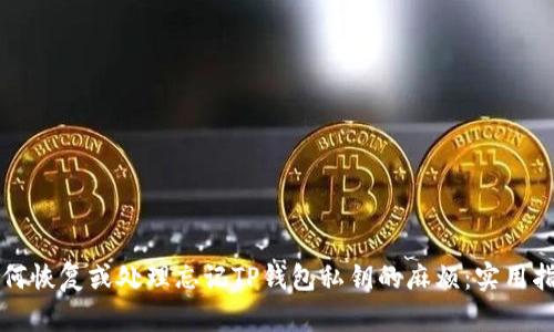 如何恢复或处理忘记TP钱包私钥的麻烦：实用指南
