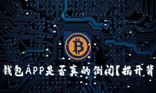 : 虚拟币钱包APP是否真的倒闭?揭开背后的真相