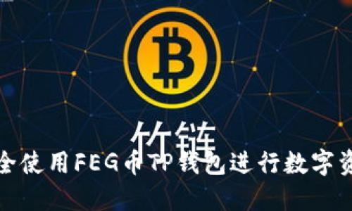 如何安全使用FEG币TP钱包进行数字资产管理