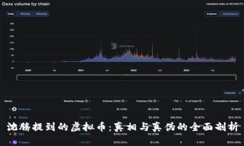 沈腾提到的虚拟币：真相与真伪的全面剖析