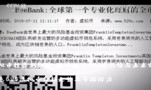 虚拟币投资新趋势：深入探讨BVS币行情与未来前景

洞悉BVS虚拟币价格走势及市场潜力