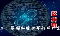 Dogleash: 引领加密世界的新