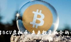 深入了解BCV虚拟币：未来
