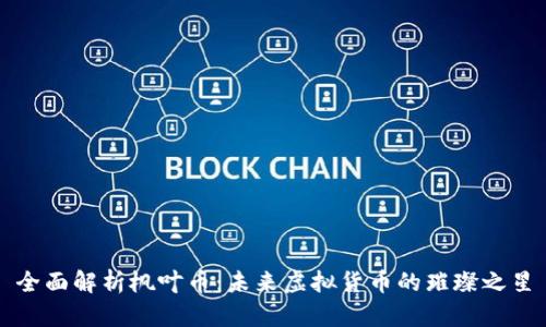 全面解析枫叶币：未来虚拟货币的璀璨之星