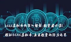 bcac虚拟币的深入解析：投