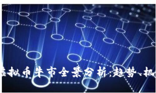 2023年虚拟币牛市全景分析：趋势、机会与风险
