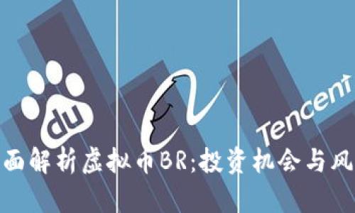 全面解析虚拟币BR：投资机会与风险