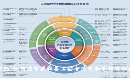 超强TP钱包：如何在苹果设备上安全使用和管理你的数字资产