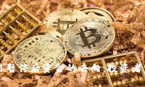 虚拟币交易暂停后资金的去向：投资者需知的真相