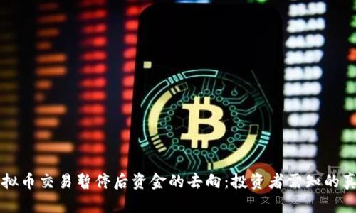 虚拟币交易暂停后资金的去向：投资者需知的真相