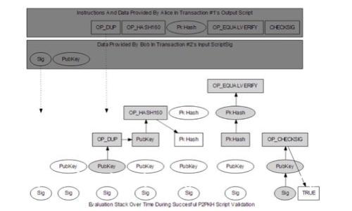 探索TP钱包的魅力与实用性：对比Pig Wallet，助你轻松管理数字资产