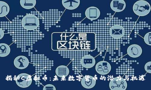 揭秘C虚拟币：未来数字货币的潜力与机遇