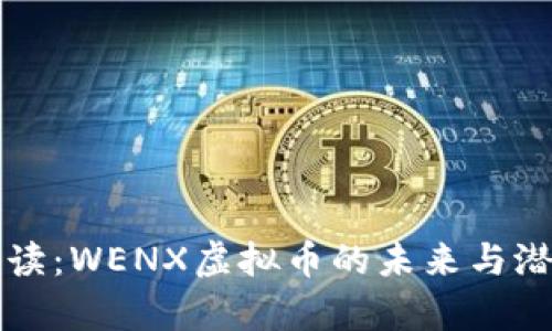 深度解读：WENX虚拟币的未来与潜力分析