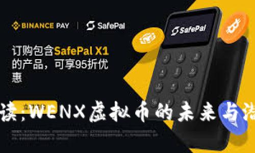 深度解读：WENX虚拟币的未来与潜力分析