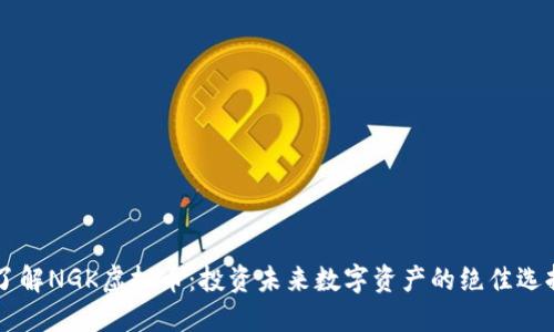 了解NGK虚拟币：投资未来数字资产的绝佳选择