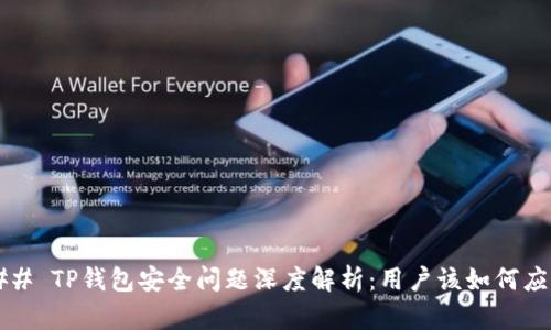 ### TP钱包安全问题深度解析：用户该如何应对？