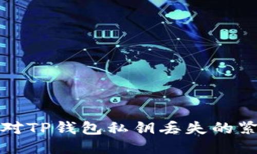 如何应对TP钱包私钥丢失的紧急指南