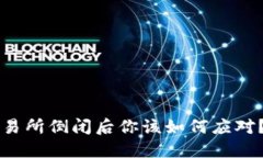 虚拟币交易所倒闭后你该