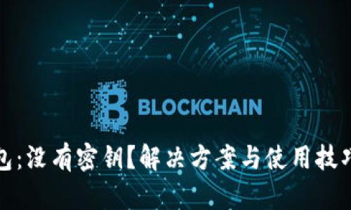 TP钱包：没有密钥？解决方案与使用技巧详解