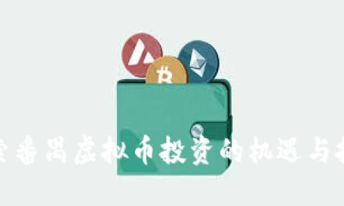 探索番禺虚拟币投资的机遇与挑战