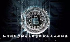 如何利用虚拟币鱼翅实现