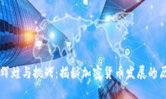 虚拟币的辉煌与挑战：揭