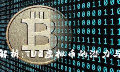 深度解析：TUR虚拟币的潜