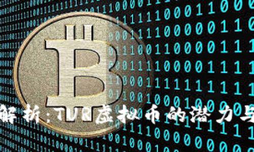 深度解析：TUR虚拟币的潜力与风险