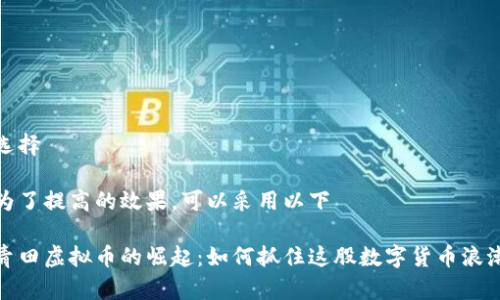 选择

为了提高的效果，可以采用以下

青田虚拟币的崛起：如何抓住这股数字货币浪潮