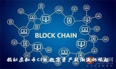 揭秘虚拟币CPO：数字资产