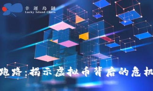 创始人跑路：揭示虚拟币背后的危机与机遇