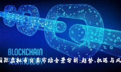  国际虚拟币交易市场全景