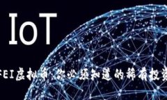 揭秘FEI虚拟币：你必须知